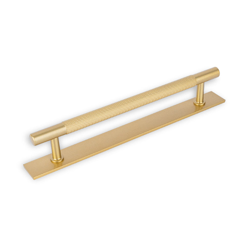Fender Knurled/Linea Back Plate Satin Brass
