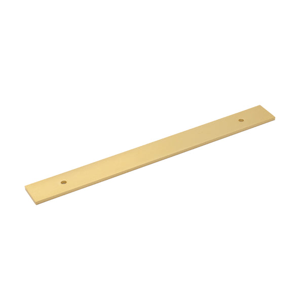 Fender Knurled/Linea Back Plate Satin Brass