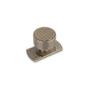 Linden Short Back Plate, 50mm Long, Antique Brass