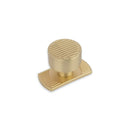 Linden Short Back Plate, 50mm Long, Satin Brass