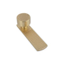 Linden Back Plate Satin Brass