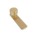 Linden Back Plate Satin Brass